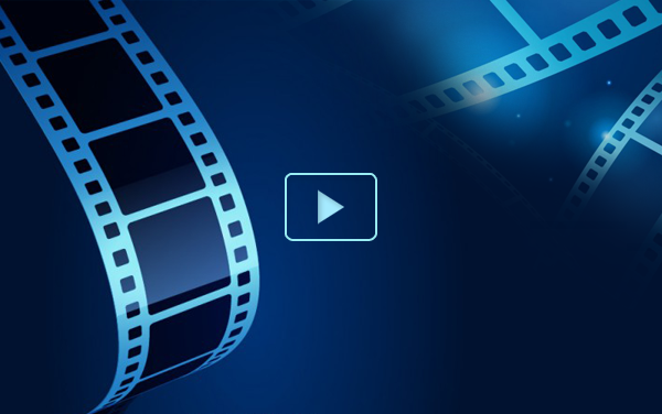 Trường th lạc long quân - quận tân bình